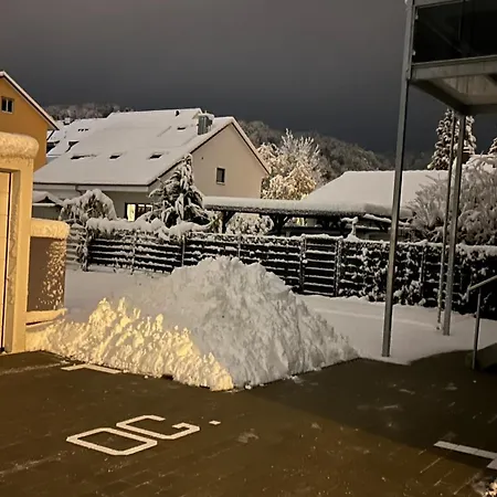 Neusaniertes 3familienhaus Am Bahnhof Wyhlen 7min Von Basel Ch