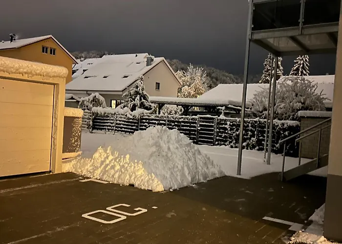 Neusaniertes 3familienhaus Am Bahnhof Wyhlen 7min Von Basel Ch